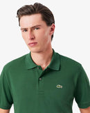 Pack de 6 Camisetas Premium 100% Algodón | Todos los Colores Incluidos