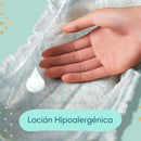 Pañales Deluxe Protection x3 Paquetes + 12 Packs de Toallitas Húmedas