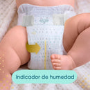 Pañales Deluxe Protection x3 Paquetes + 12 Packs de Toallitas Húmedas
